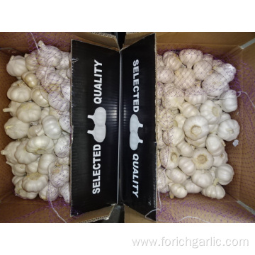 Loose Packing Fresh New Pure White Garlic